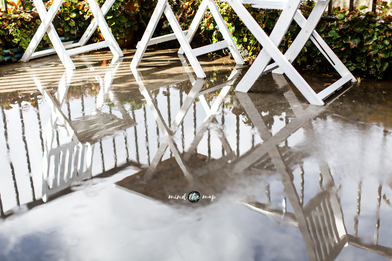 still life after rain in Madeira