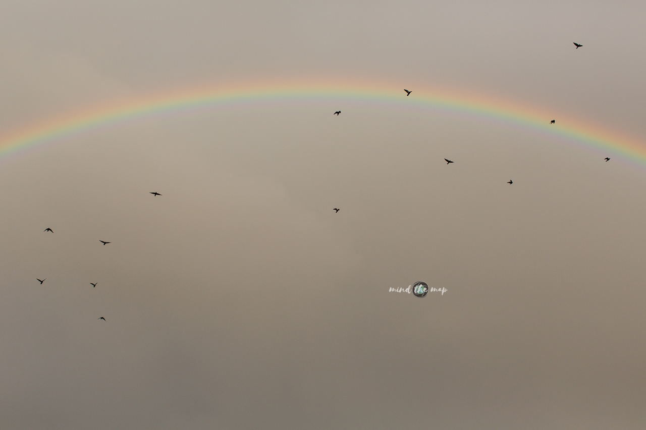 rainbow in Madeira