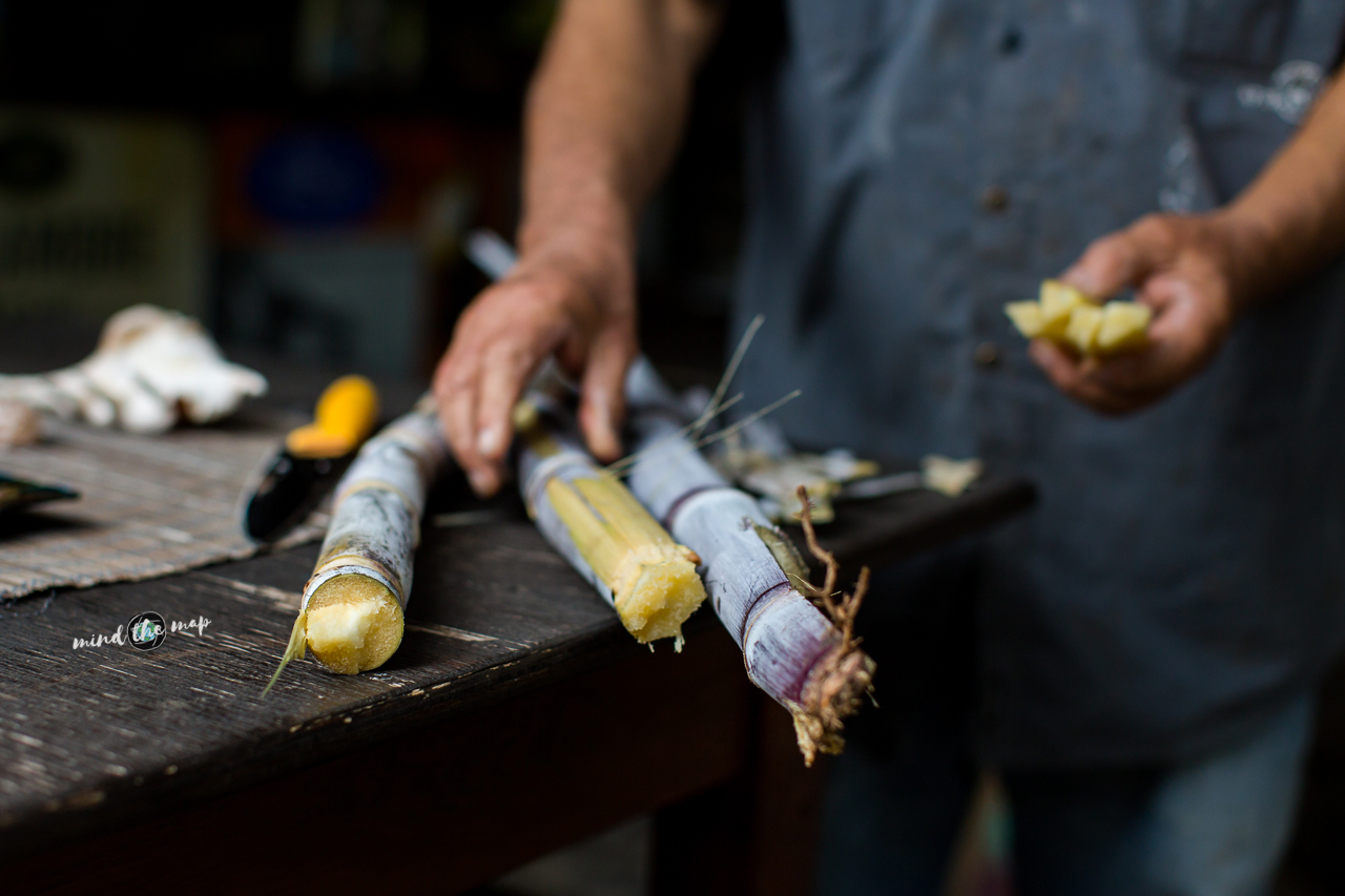 sugar cane Madeira