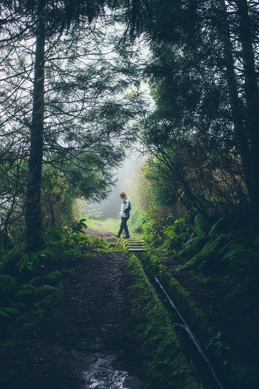 levada walk Faial