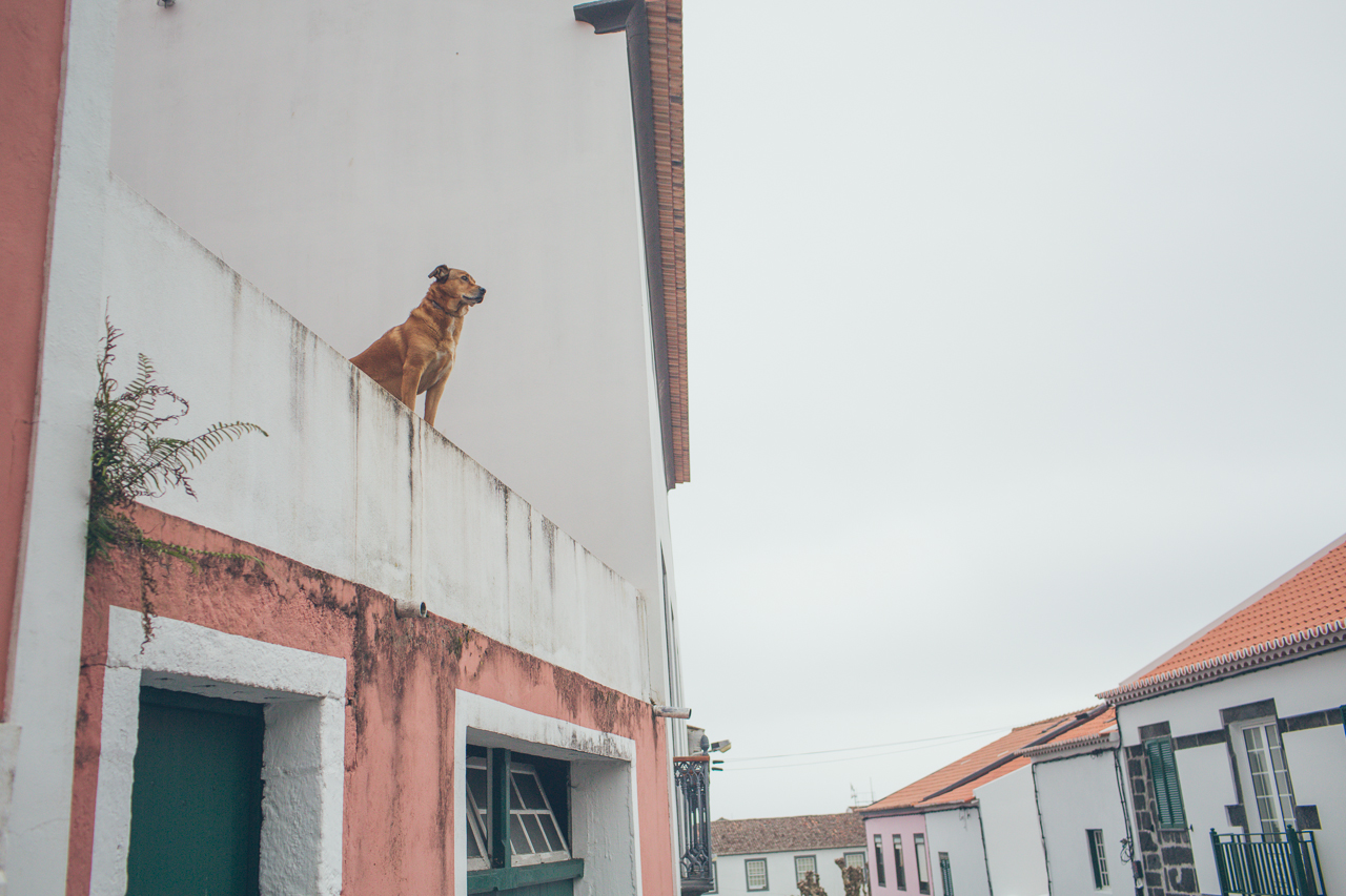 Horta Faial