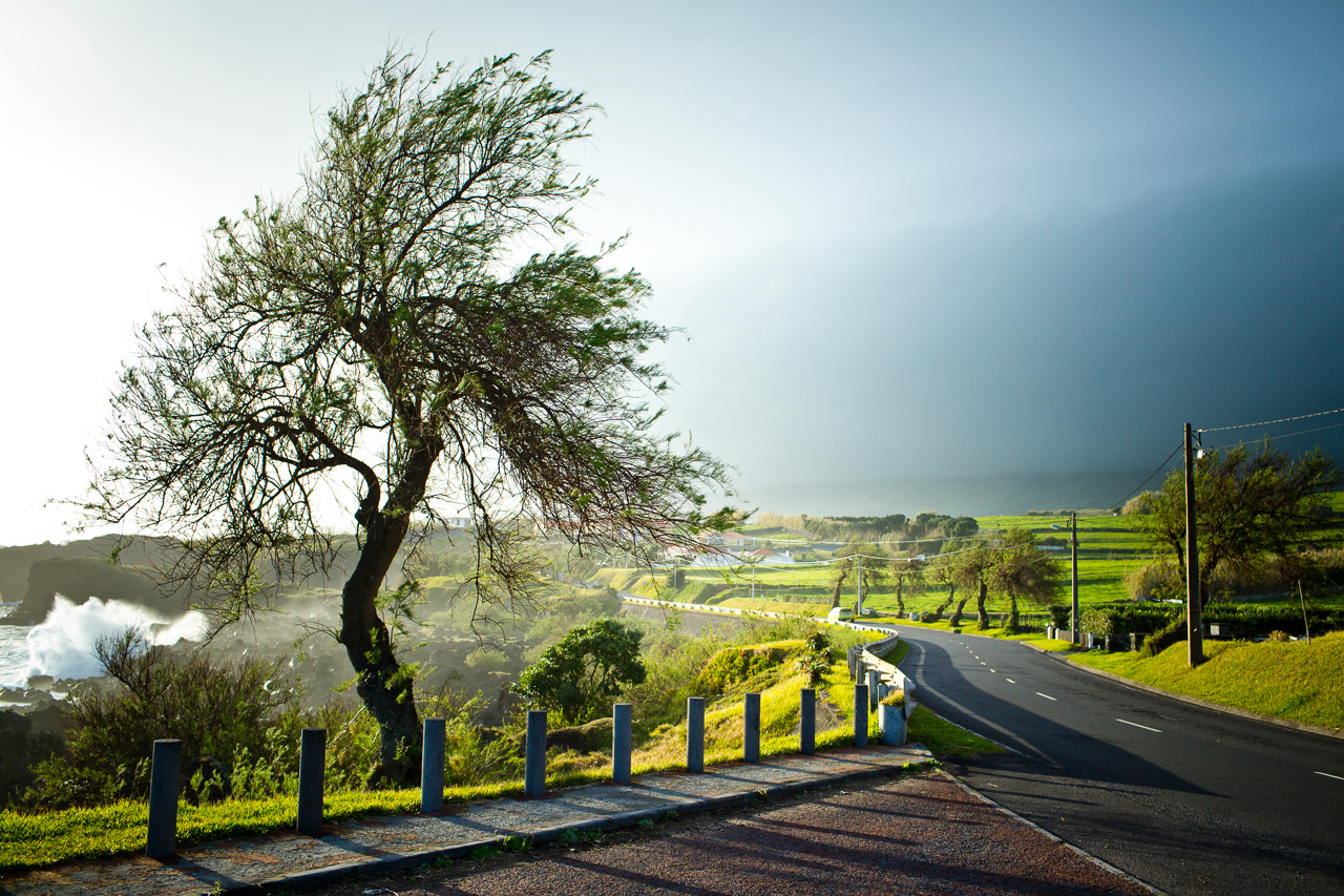 Faial island Azores