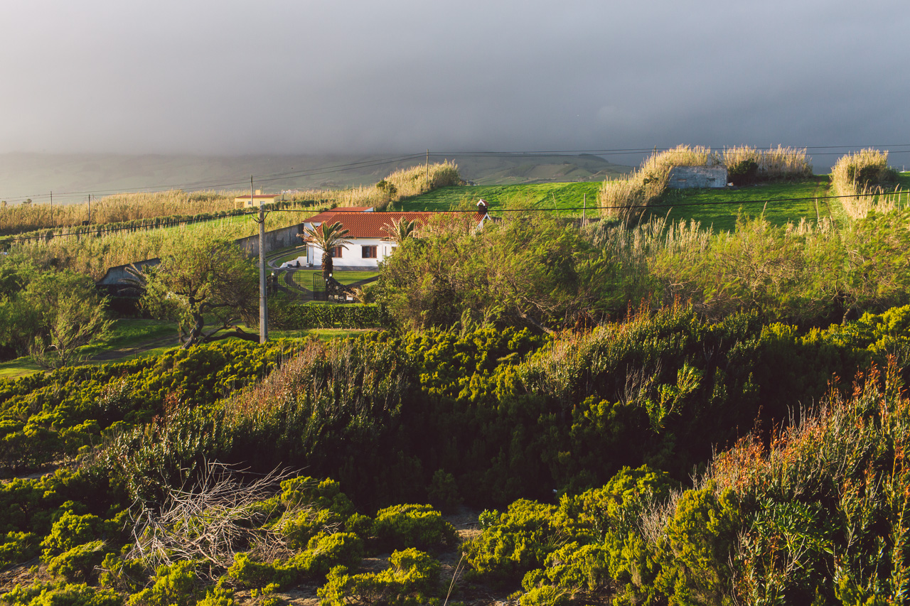 Faial Azores
