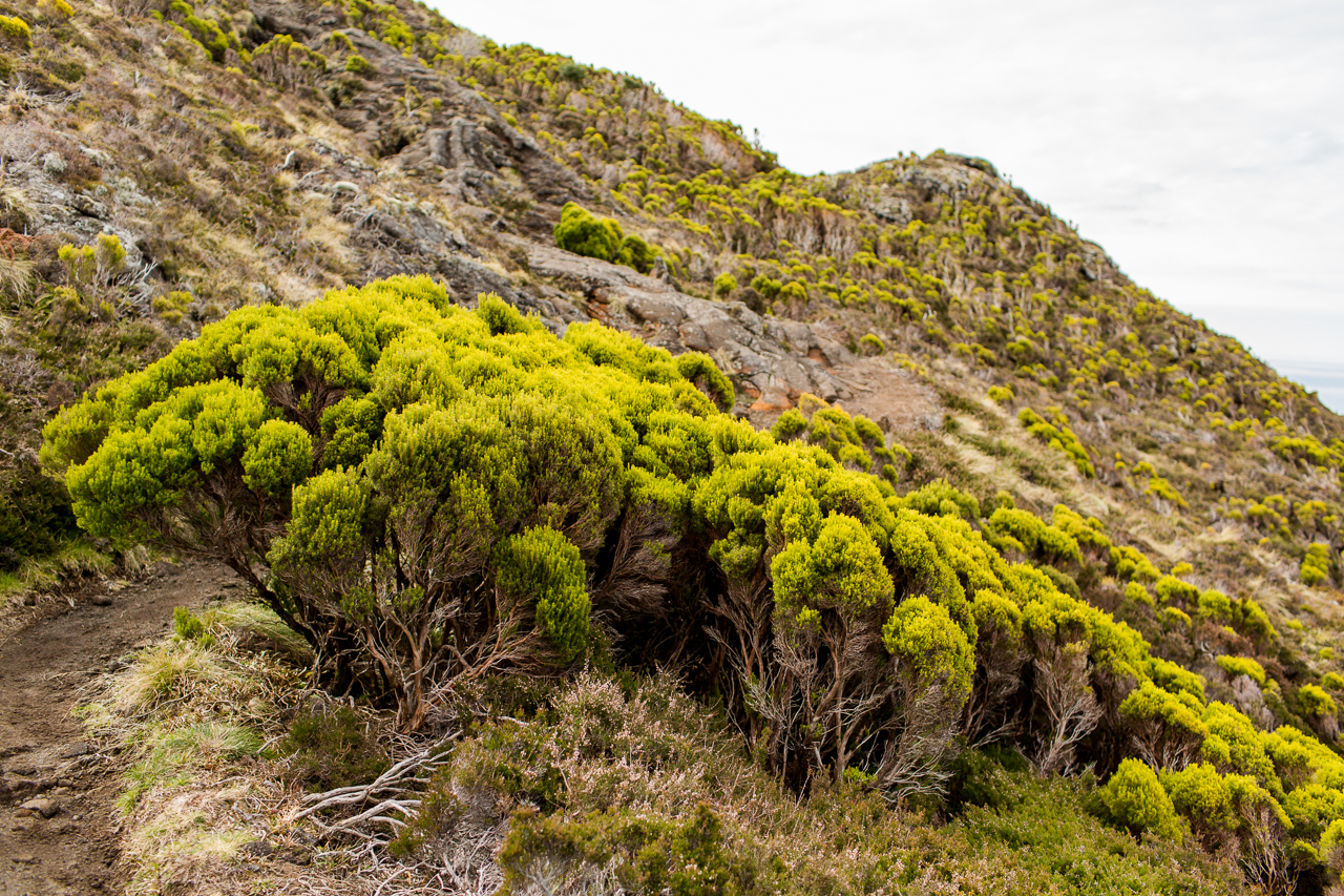 climing Pico mountain Azores