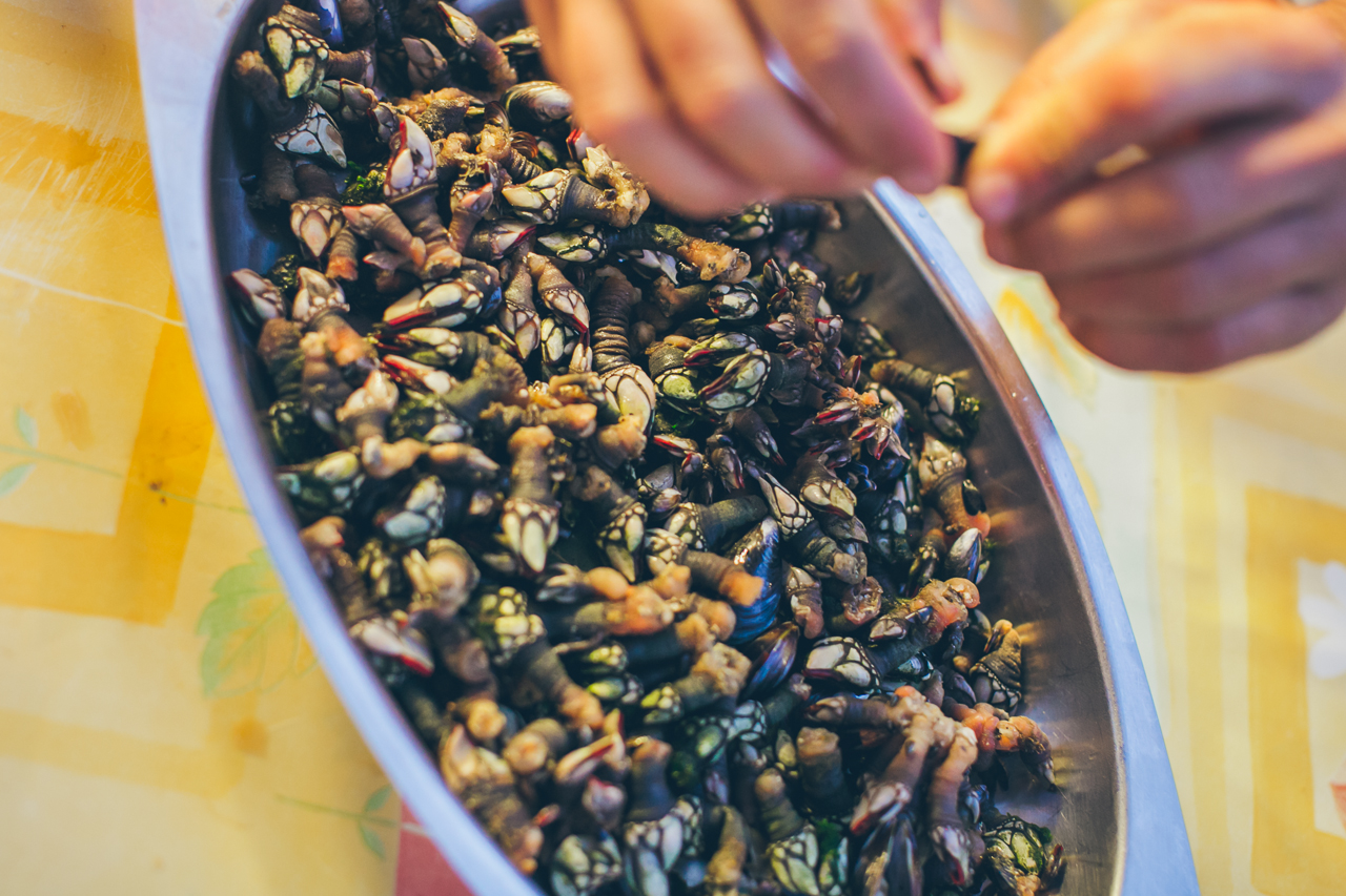 percebes