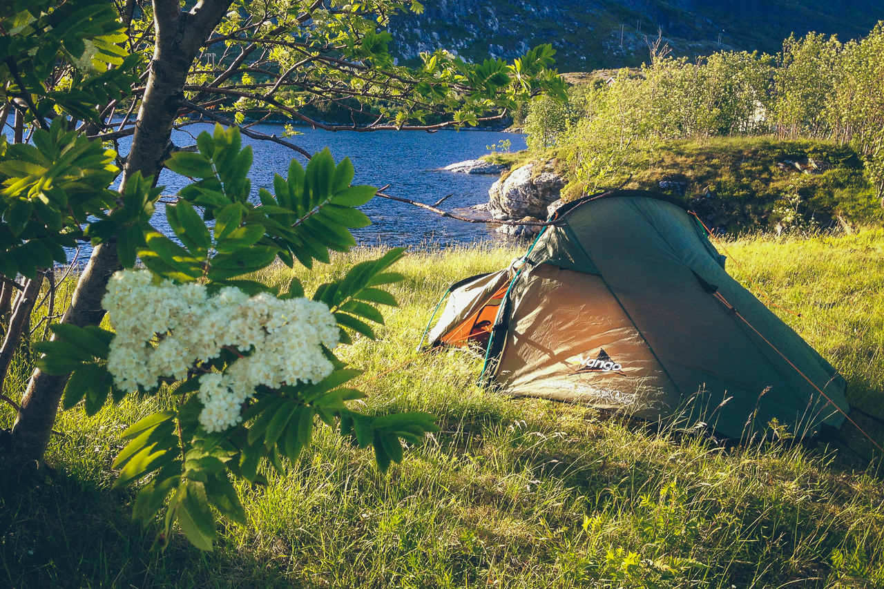 Lofoten Norway camping tent