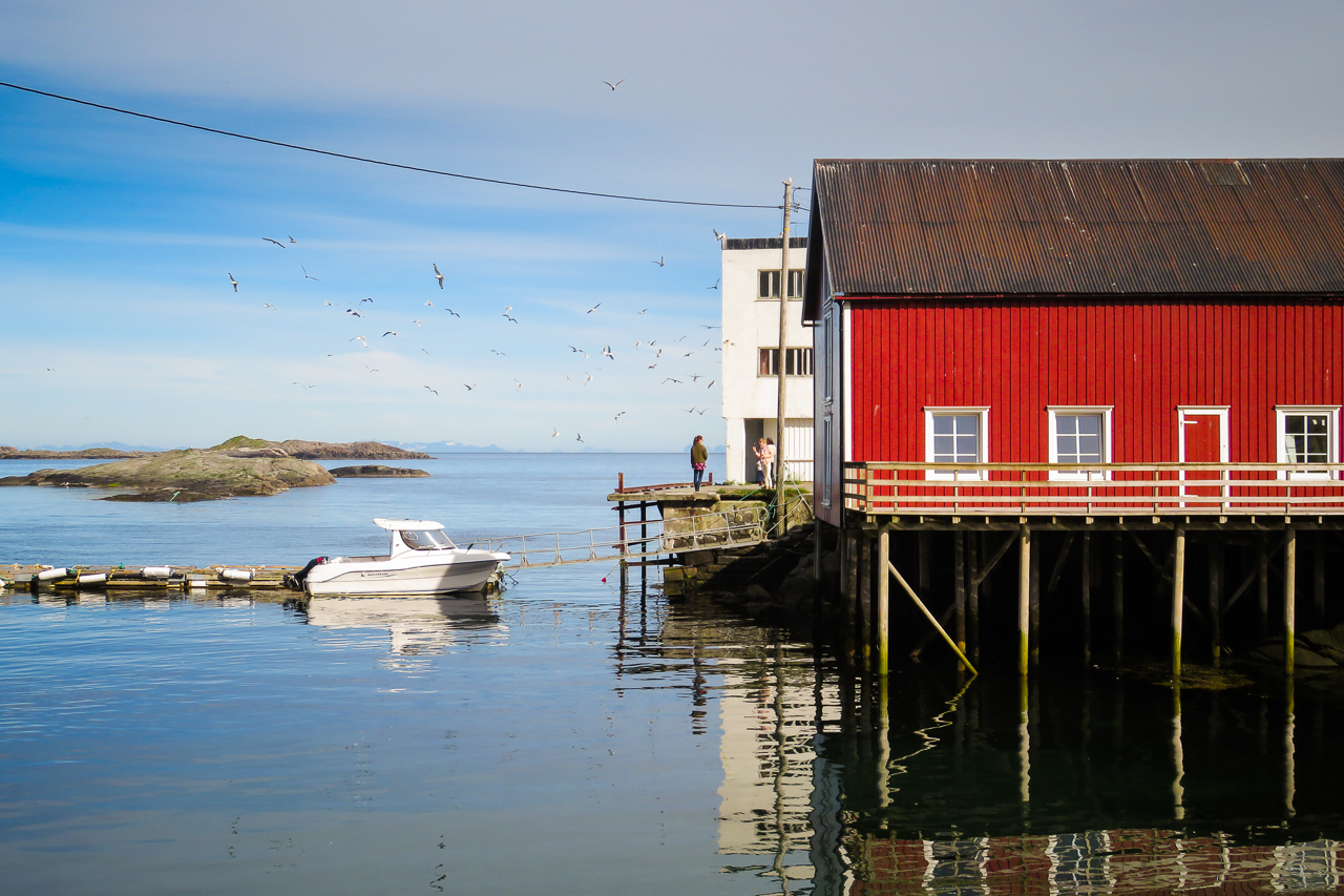 fishing village Lofoten rorbu