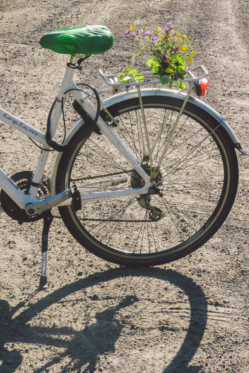 bycicle on Lofoten
