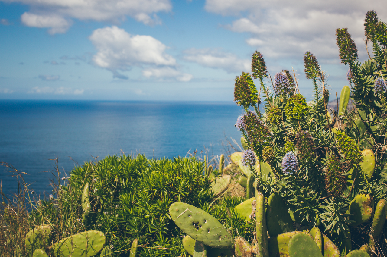 Madeira